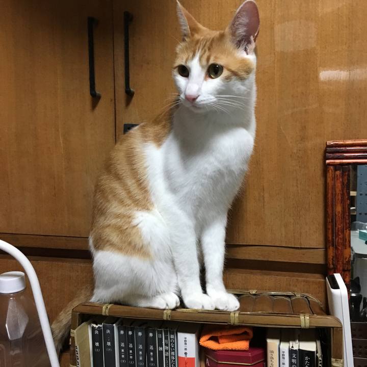 2d3498d4 c27b 450a 9df7 99496f60b04e