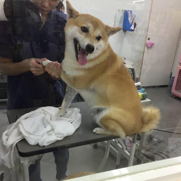 2d34f8c4 59d5 470b 8779 18124ff6fe24