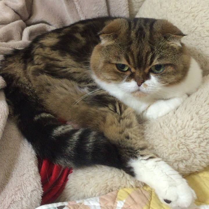 2d3523af 5d17 45e9 b145 e7f3ce13e62e