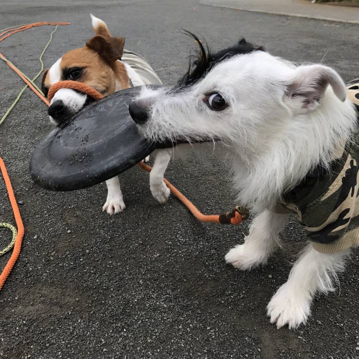 2d3545f9 e92e 4038 be63 08ea24f53776