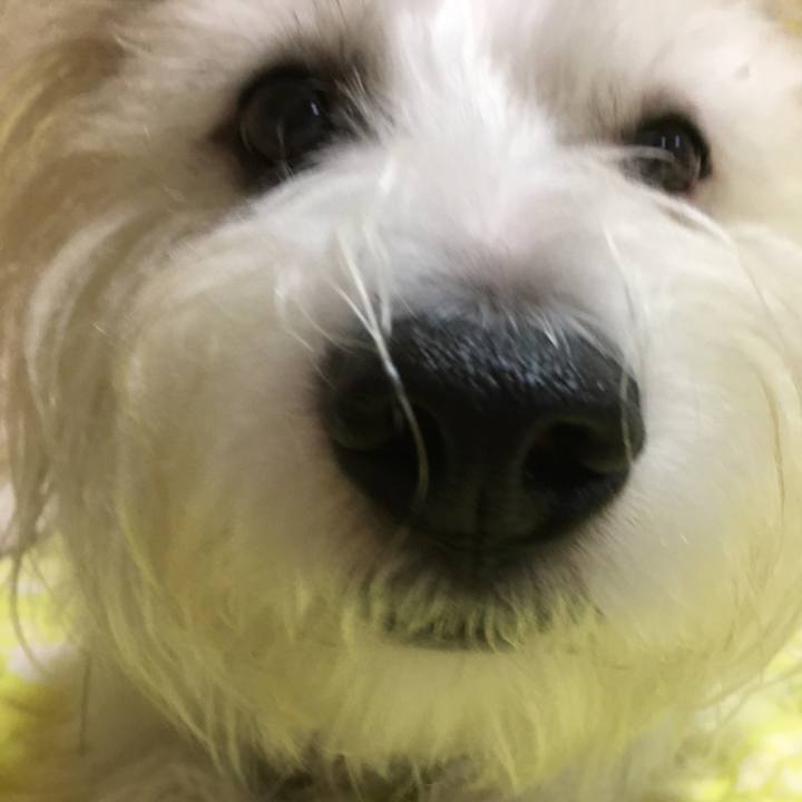 2d358916 95f7 4616 8fbd add466e98e7f