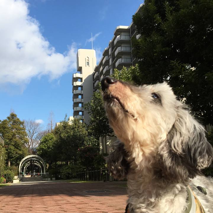 2d35a1ab 82ef 4fdf b828 ffa8493aea2e