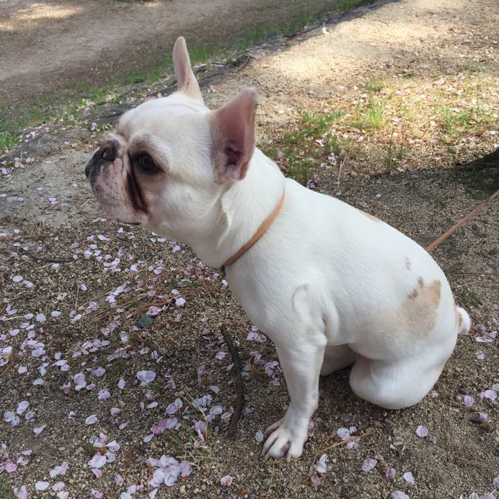 2d35ada2 aea6 4a26 a15e e7547219fb89