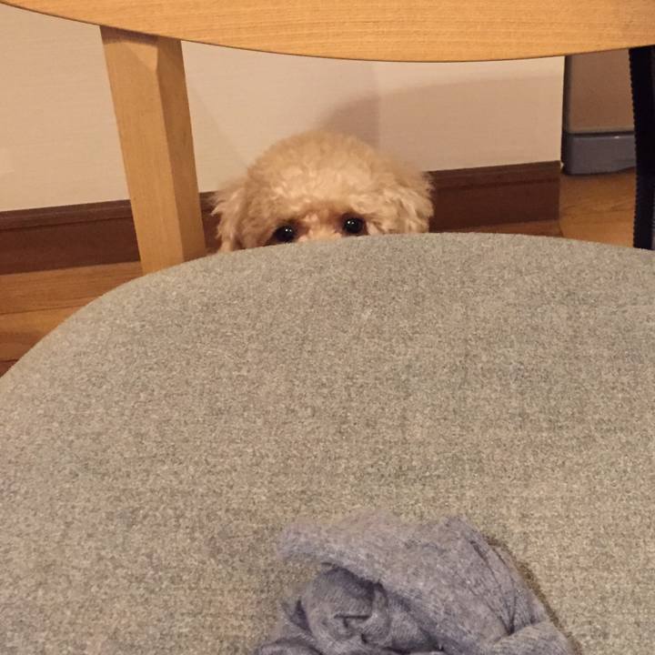 2d35c5fc ce98 4724 810f 29e77fd96155