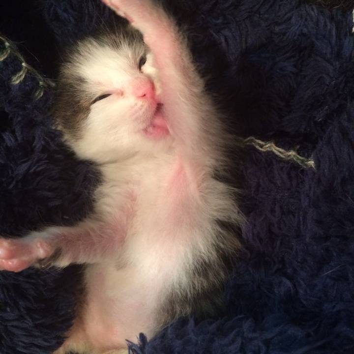 2d35dd4c 59e1 4ef3 971d 5c52d9780485