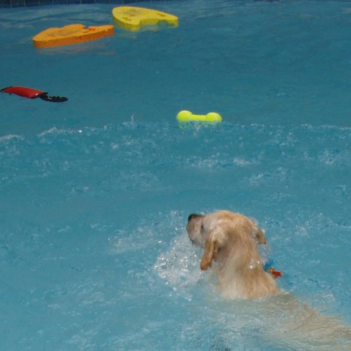 2d36b061 482f 4428 b2b0 8980aa886172