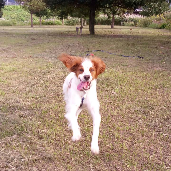 2d36f9b4 fe9f 4f37 a7aa c76c5080291b