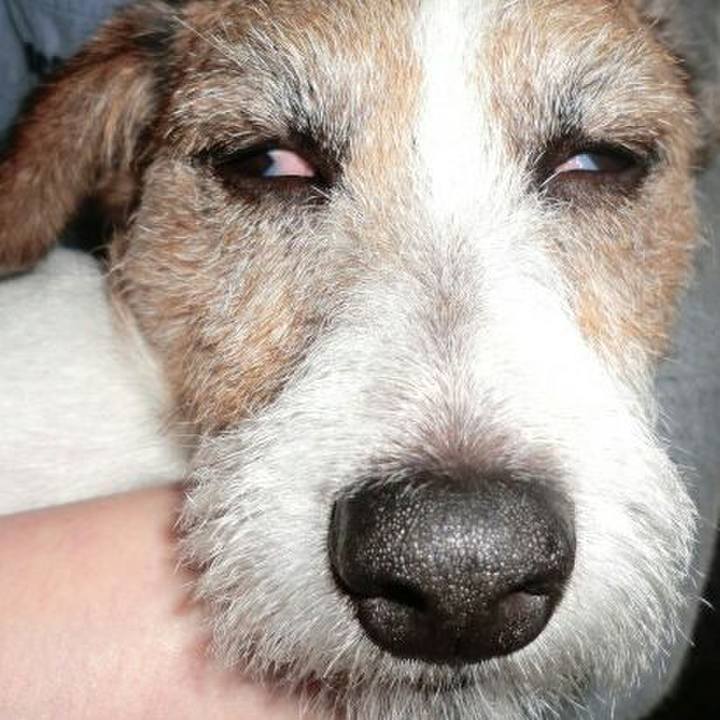 2d371277 c1f7 4c27 83d1 1ea8a1b27820