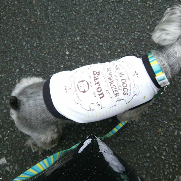 2d3875ce 2d15 4fb7 84ed b1e2f5e0cb56