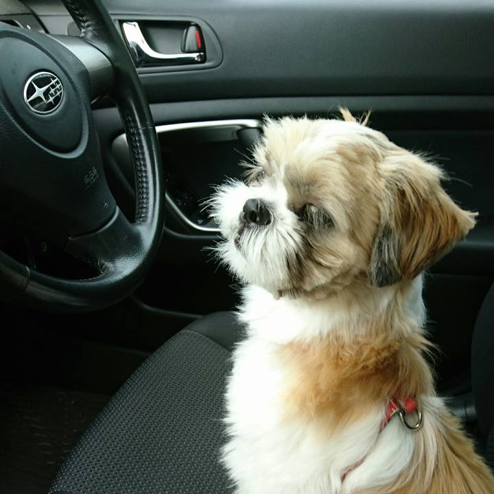 2d388943 d75a 47d1 ae33 9b48a3e610f2