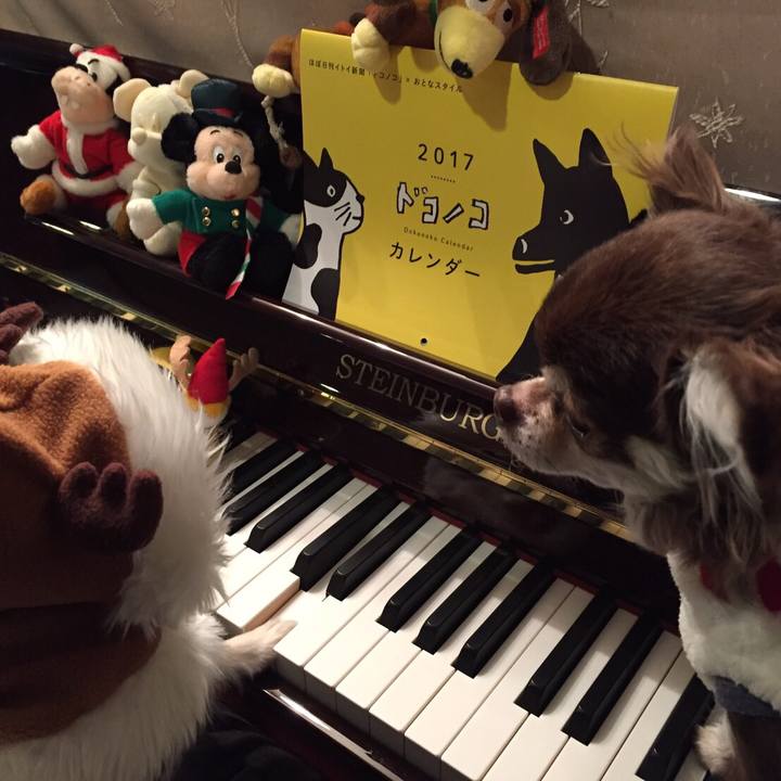 2d38a7ff 70cb 4c8e abdd 0bd4d4d098bb