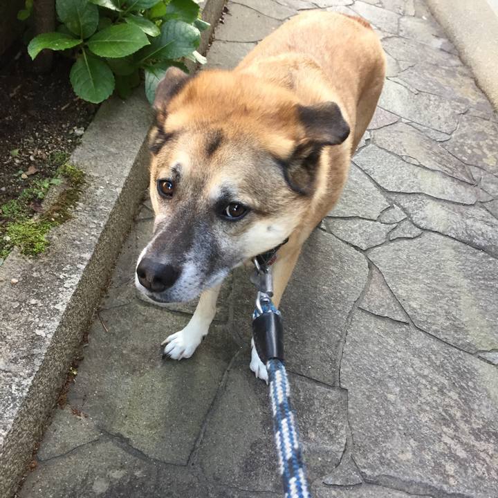 2d39002c 9896 443e 8a29 84956a25eb19