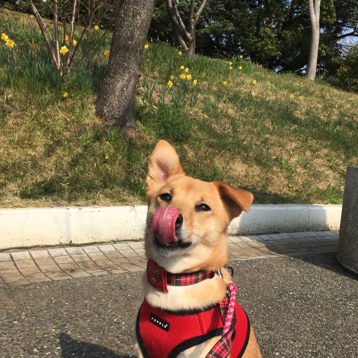 2d395822 f812 43b5 8b23 5276798f48a6