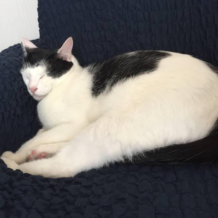 2d398bdf b226 4b16 99ef 0a92ade6490e