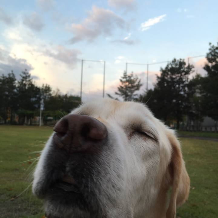 2d3b04e8 5feb 41b3 9082 a7e31e18c1de