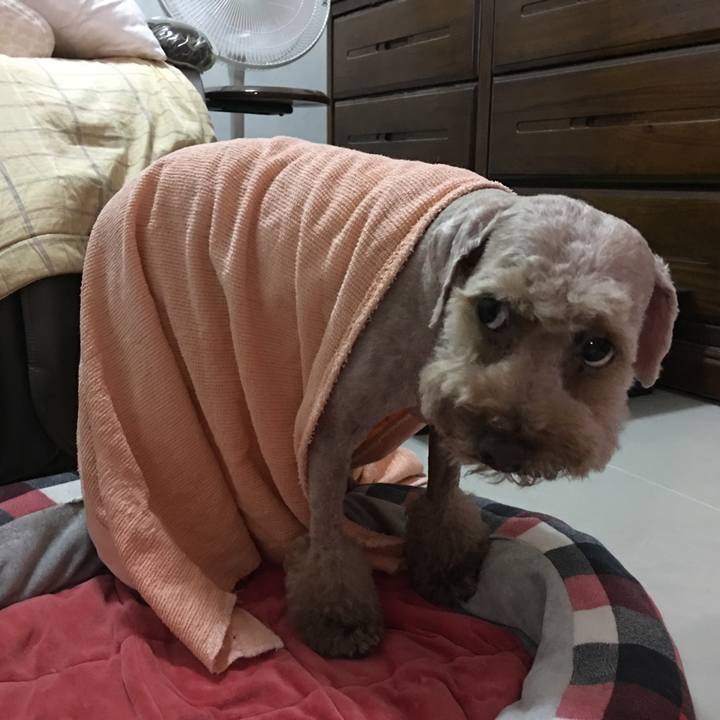 2d3b3f80 cfeb 49e3 afec 6adea5df7bc8