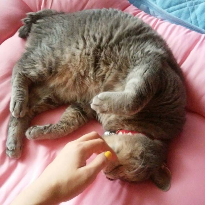 2d3b780b b5fb 4cc2 a09c 837530c175af