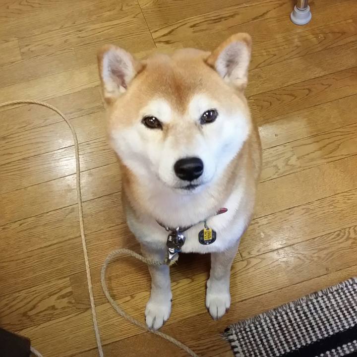 2d3b8f08 df46 4c99 9ad3 8945c9a8fe43