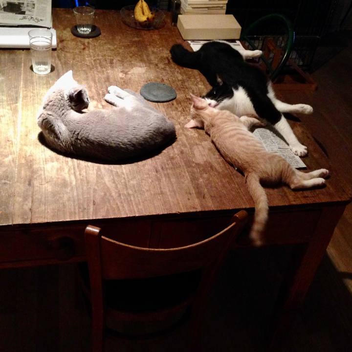 2d3bba38 62cb 4d81 9cde 08beab799082