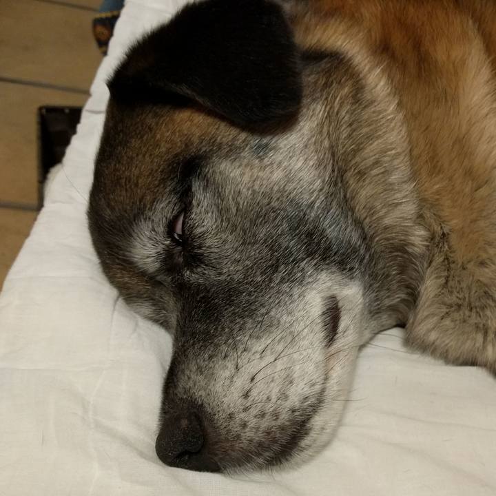 2d3be045 1c38 44b0 b8e7 dc01e2a9db14