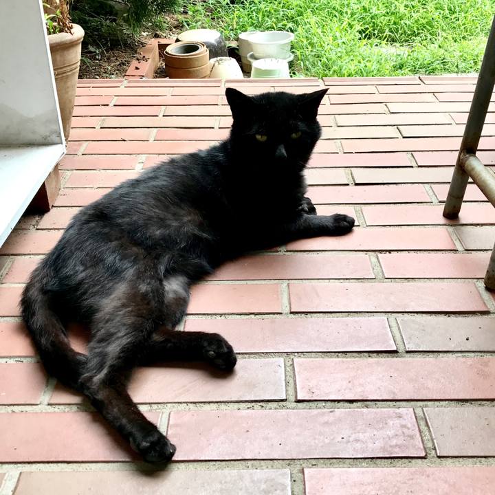 2d3c8c53 5808 4f61 bec8 d65fe06a01fb