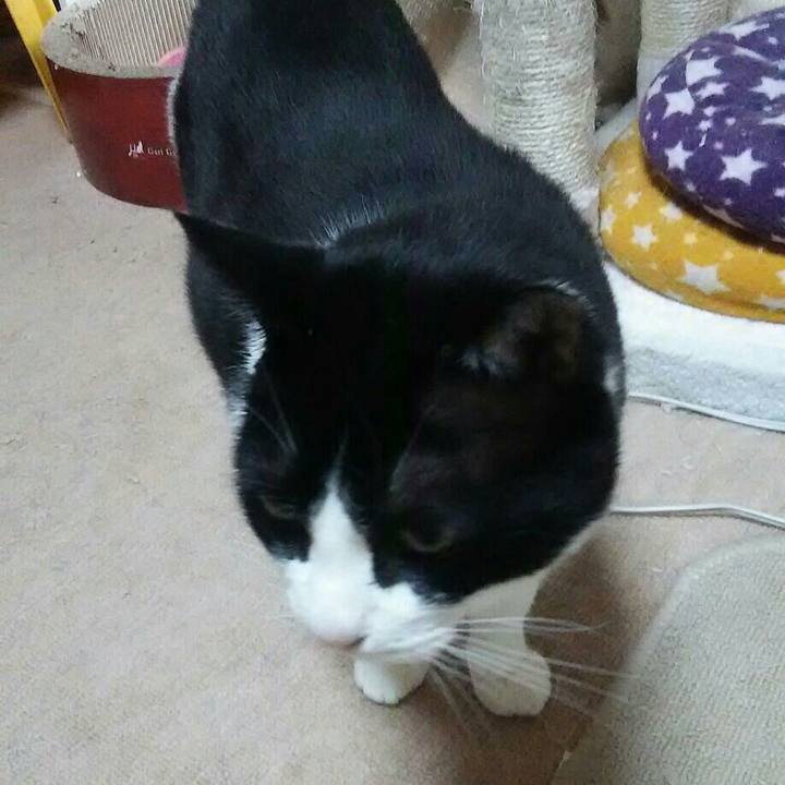 2d3cc4b7 a363 4f4f a6be 69fd8d913289