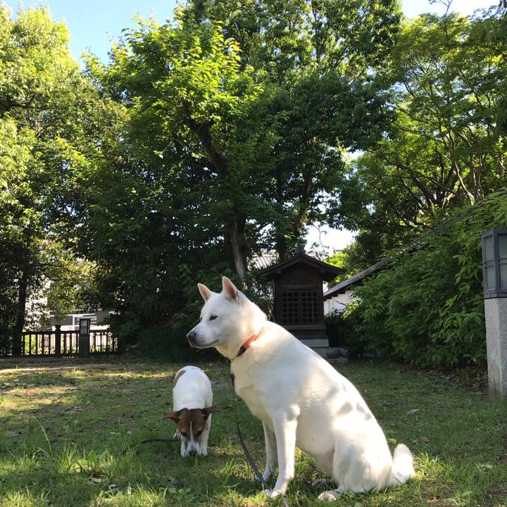 2d3ee6a2 7f72 4e11 9751 729bbfac3305