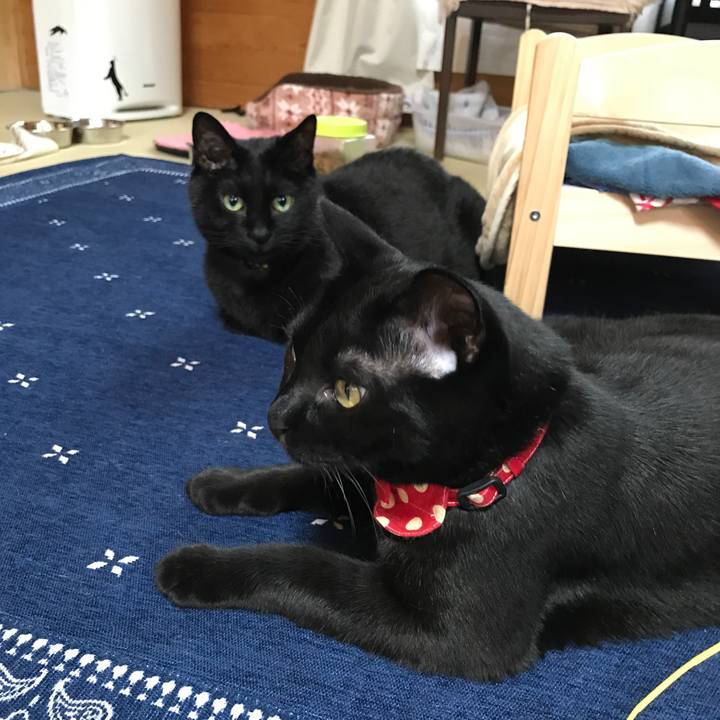 2d3f384a 5e65 41ba b7d1 dd78d5c1178b