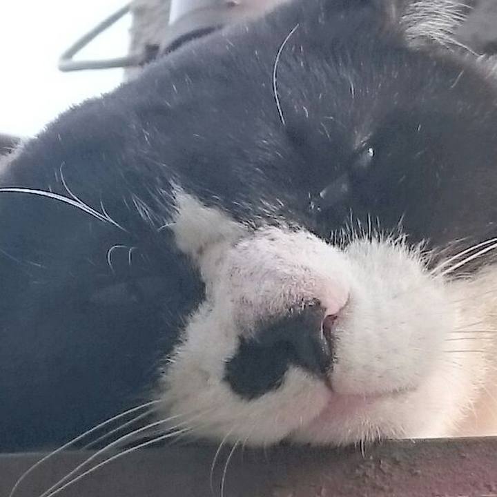 2d409a63 9a04 440f 96f6 878d7b471928