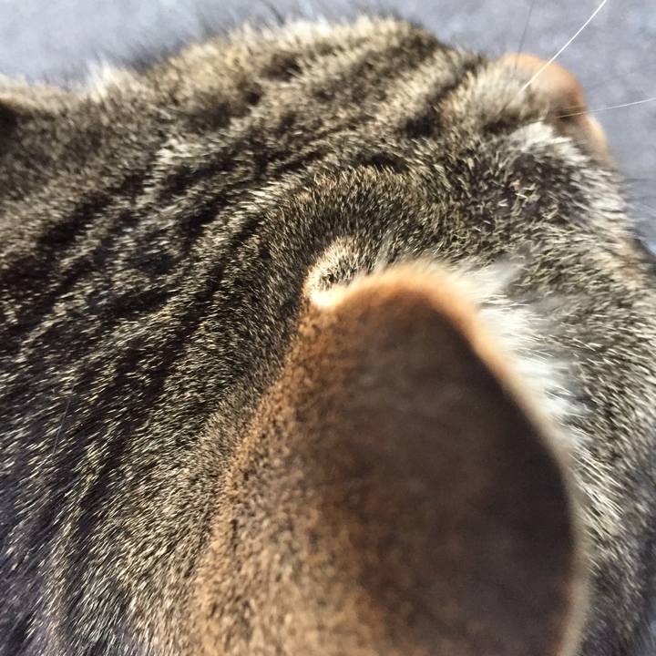 2d40aeb7 2f39 4f25 98e6 cc40d92d4fb4