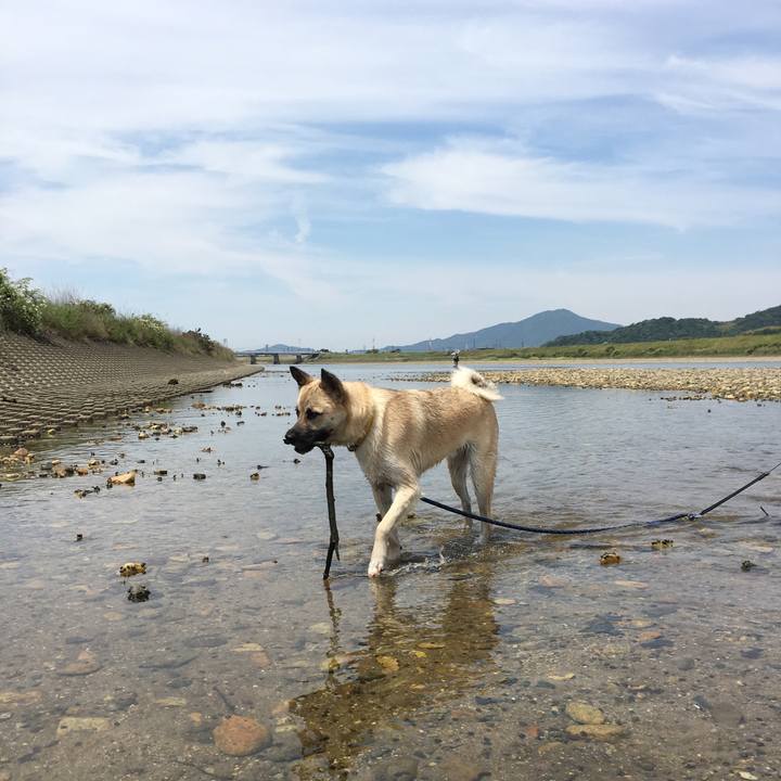 2d40f82e dd37 43c8 bda8 c341f696b3e8