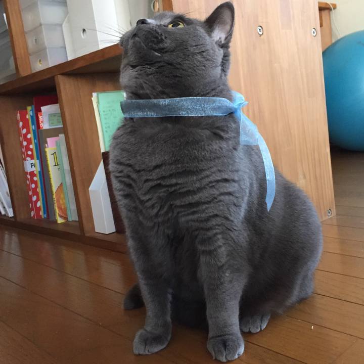 2d41119d a4af 43fd 913e fbb0d5b5a997