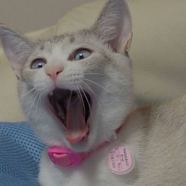 2d41e2ca 6fa2 451f b465 293fd0f8835f