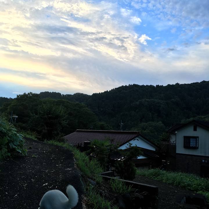 2d42785e 53a7 4c5b b313 183c4e2b4360