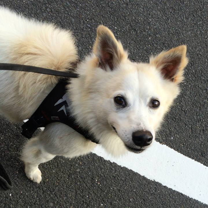 2d4295b2 f082 48de 9bd9 3f19ee428337