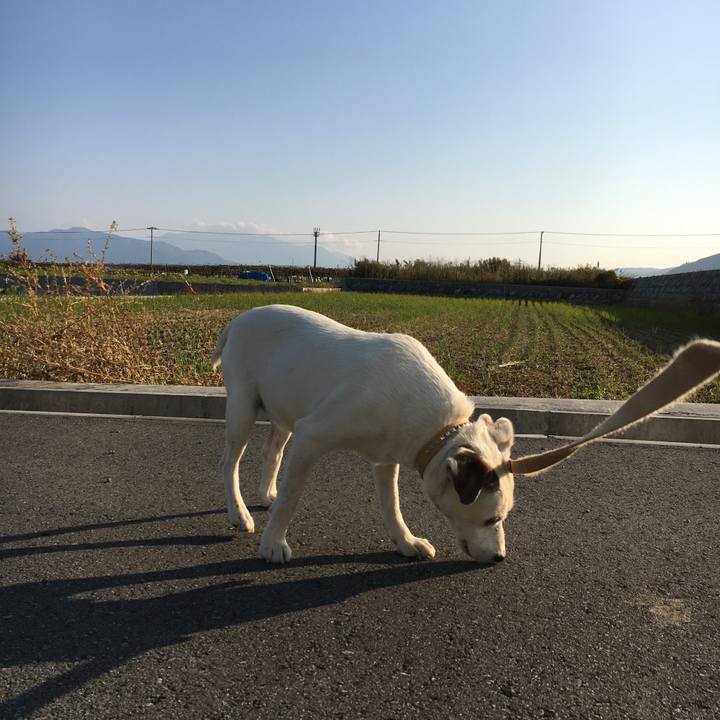 2d432bb8 9925 4467 a0a4 162f2b95030c