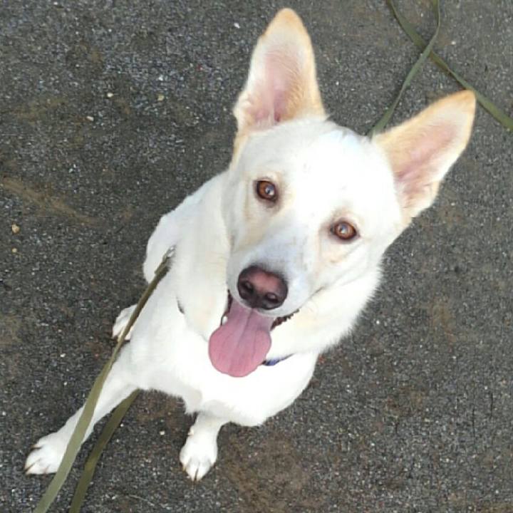 2d43b1a8 4490 4967 b21e 52c7660d6060