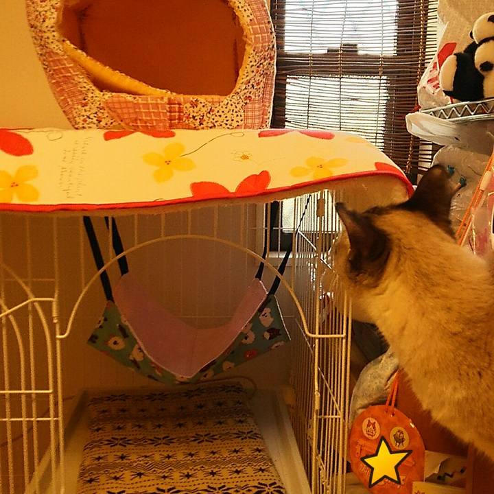 2d443c97 105a 4acc afde 24ba1f3bbecb