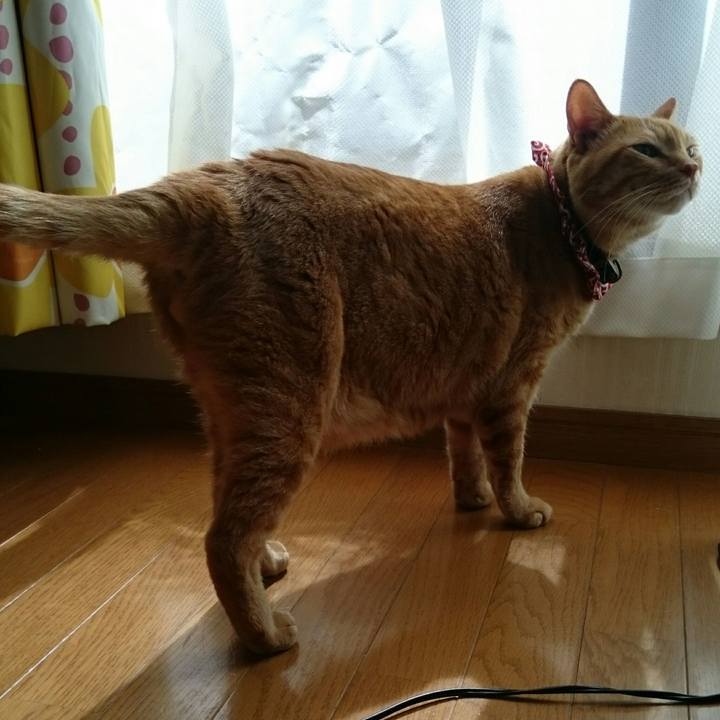 2d445ee8 09d3 4200 8295 378d054276ce