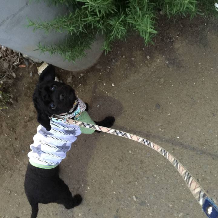 2d447806 1dd0 44c5 bada 9af0e7588984