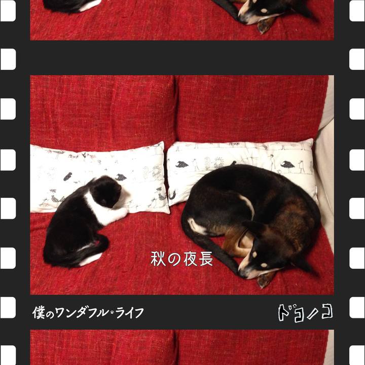 2d44d51d bcfe 46cd b35b e8f3ec566e68