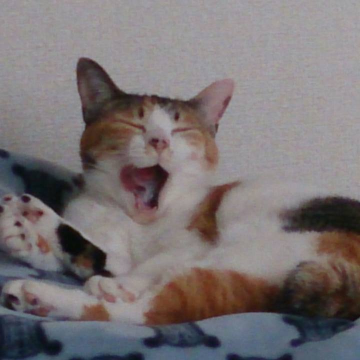 2d44d6dc 4f45 4194 aa6e bbc1de703175