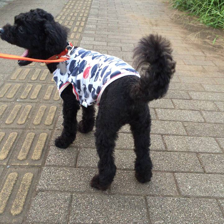 2d44f57c 9a7c 4dcb 9253 88c810cd901a