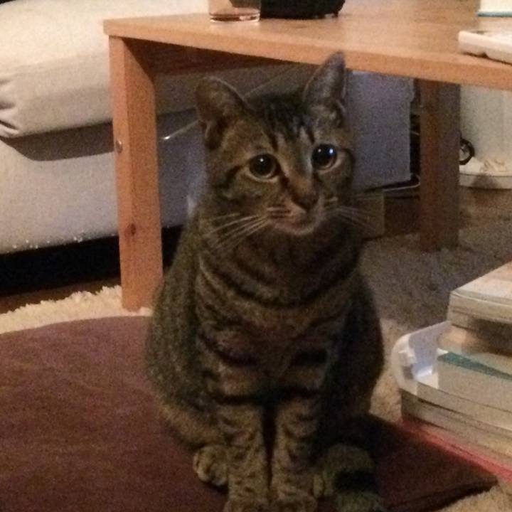 2d44f9dd 2cb7 4bb6 9059 1f05be067250