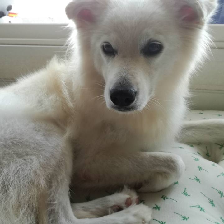 2d45637f 4f08 4782 aaea edce71aa75a1