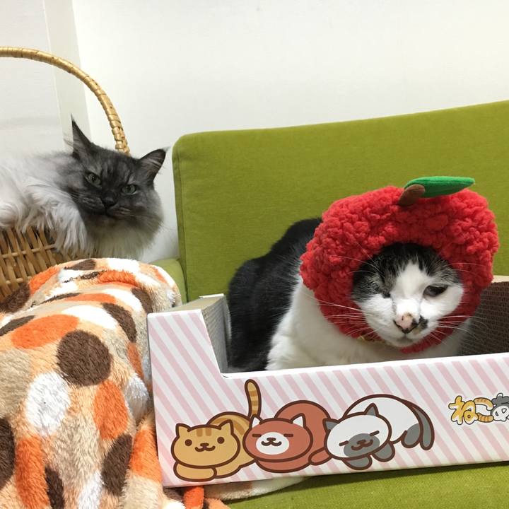 2d4565d1 9a51 4555 b344 5bd12904ed1f