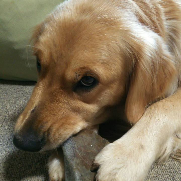 2d45810a ba30 4cc6 8127 ea1d986802bf