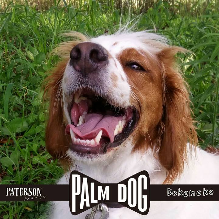 2d45c621 9bfe 4633 8213 d2061a3b3d8e