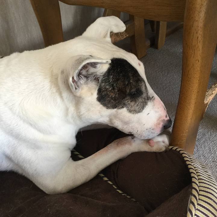 2d45fda5 b6a2 40f3 9b66 fbb041891b45