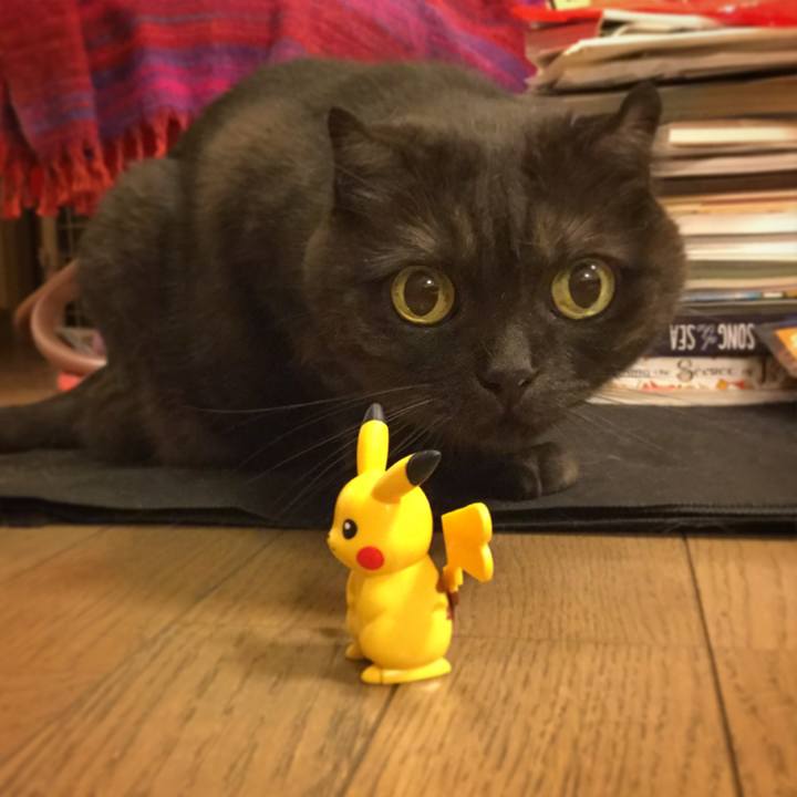 2d465df0 40f3 4610 a7f1 bdb68ded52c0